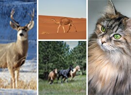 Untitled-1 Untitled-1