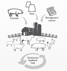 illustration-235x250-1r2 illustration-235x250-1r2