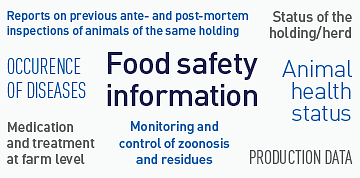 360x178-word-graphic 360x178-word-graphic