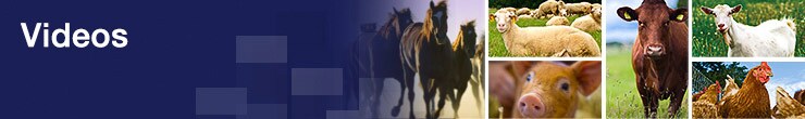 animal-health-videos animal-health-videos