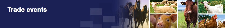 AH-trade-events-hero AH-trade-events-hero