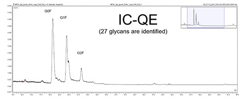 IC-QE 27 Glycans IC-QE 27 Glycans