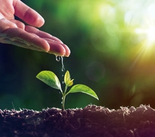 土壤污染防治 土壤污染防治