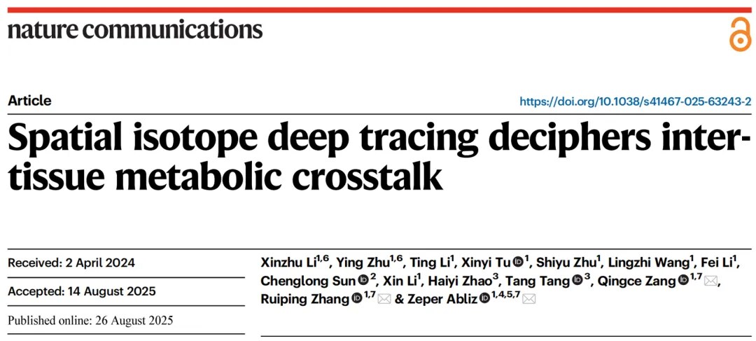 AFADESI-Orbitrap质谱成像结合同位素示踪法研究框架 AFADESI-Orbitrap质谱成像结合同位素示踪法研究框架