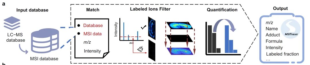 MSITracer工作流程 MSITracer工作流程