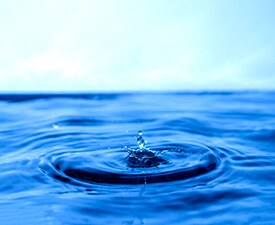 Chromeleon CDS software environmental package Chromeleon CDS software environmental package