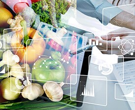 Key features Key features