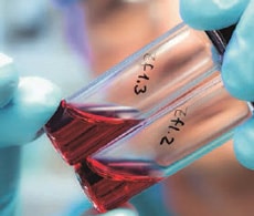 顶空 GC 应用 顶空 GC 应用