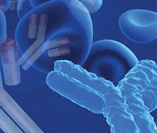 mAb 表征,聚合体、片段和滴度分析 mAb 表征,聚合体、片段和滴度分析