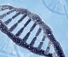 +1 和 -1 核酸(包括异构体)的极高分离度 +1 和 -1 核酸(包括异构体)的极高分离度