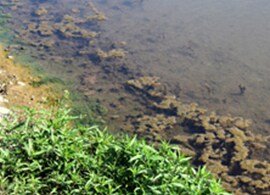 Learn about the latest breakthroughs for emerging contaminant analysis Learn about the latest breakthroughs for emerging contaminant analysis