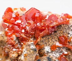 Vanadium speciation in water Vanadium speciation in water