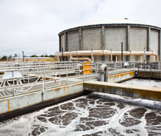 Reducing total nitrogen and phosphorus in wastewater Reducing total nitrogen and phosphorus in wastewater