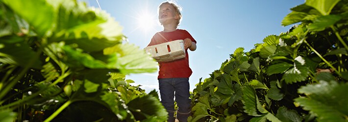 农村污水水质在线监测解决方案 农村污水水质在线监测解决方案