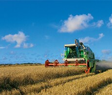 POPs-230x195 POPs-230x195