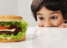 Meat species detection, screening & quantification Meat species detection, screening & quantification