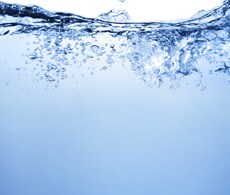 Bottled Water Testing Information Bottled Water Testing Information