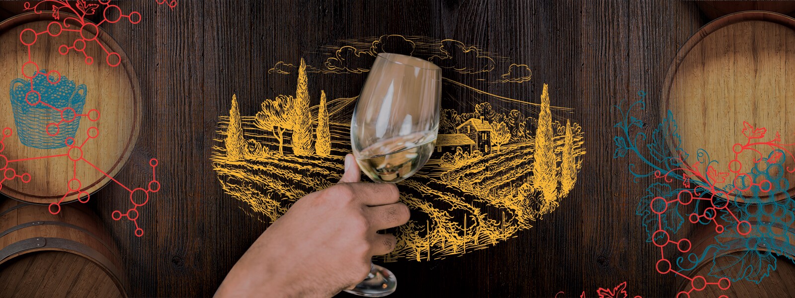 good-wine-banner good-wine-banner