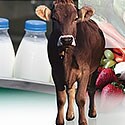 Featured Veterinary Drug Residue Webinars Featured Veterinary Drug Residue Webinars