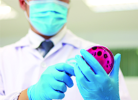Shiga-toxin producing E. coli (STEC) - Diagnostic challenges and impact on food supply Shiga-toxin producing E. coli (STEC) - Diagnostic challenges and impact on food supply