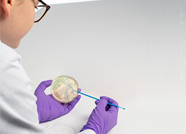 Listeria risk management in food Listeria risk management in food