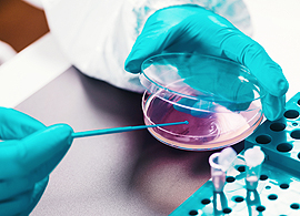 How Thermo Scientific food pathogen detection solutions can help the modern food testing laboratory overcome current and emerging risks How Thermo Scientific food pathogen detection solutions can help the modern food testing laboratory overcome current and emerging risks