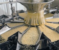 food-processing-230x195 food-processing-230x195