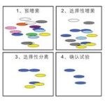 食品微生物限度检查 食品微生物限度检查