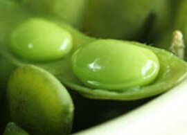 Meet your food authenticity testing needs on a single platform Meet your food authenticity testing needs on a single platform