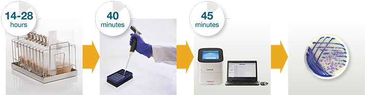 Thermo Scientific RapidFinder Salmonella species, Typhimurium and Enteritidis Multiplex PCR Assay method Thermo Scientific RapidFinder Salmonella species, Typhimurium and Enteritidis Multiplex PCR Assay method