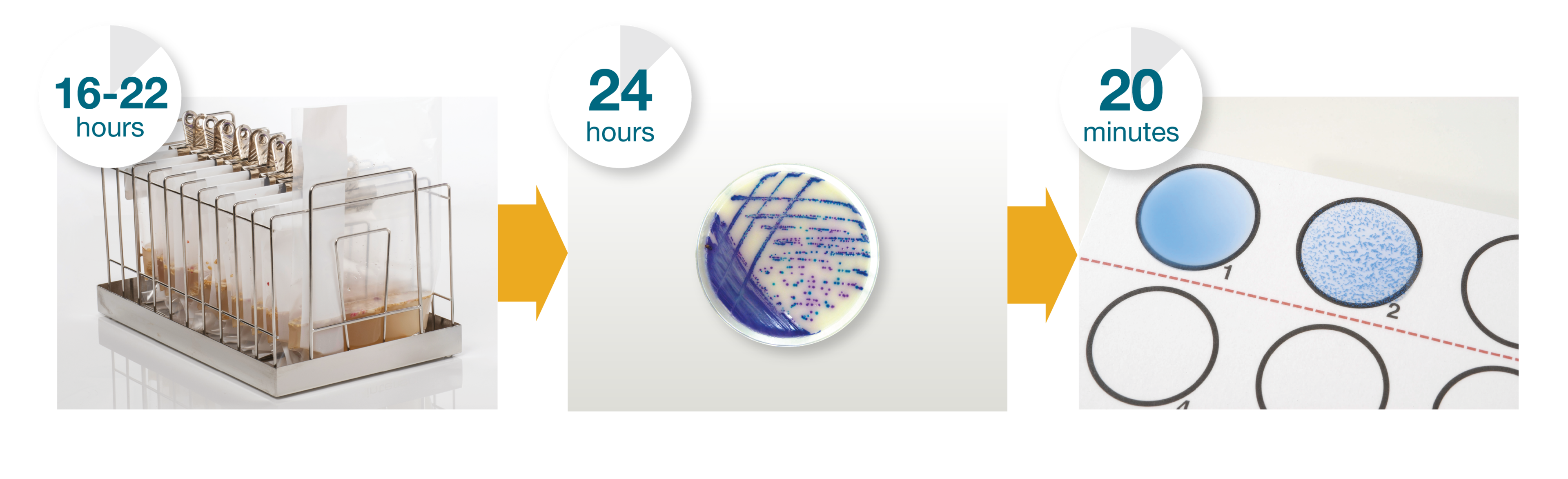 Thermo Scientific™ Salmonella Precis™ Method Thermo Scientific™ Salmonella Precis™ Method