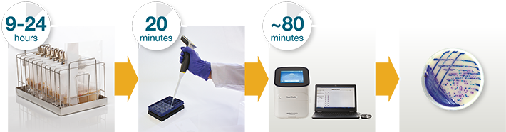 Thermo Scientific™ SureTect Salmonella species PCR Assay Method Thermo Scientific™ SureTect Salmonella species PCR Assay Method