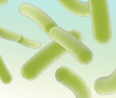 Food Safety Testing Products Food Safety Testing Products