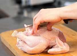 Poultry Testing Poultry Testing