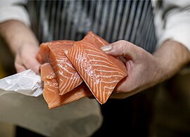 Seafood Testing Seafood Testing