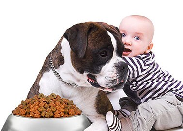 showcase-27070 showcase-27070