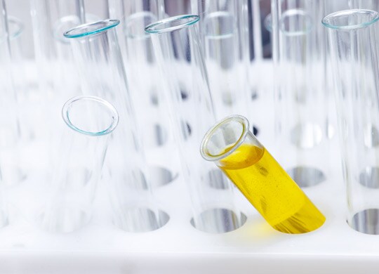 Urine Drug Testing Urine Drug Testing