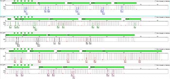 GF-3500-007-1ng GF-3500-007-1ng