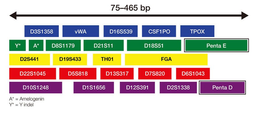PG1838-PJT3407-COL08483-Update-DNA-Analysis-Image-Global-FHR-VFEsizes PG1838-PJT3407-COL08483-Update-DNA-Analysis-Image-Global-FHR-VFEsizes