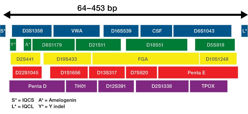 WE42401-VeriFiler-Express-kit.jpg WE42401-VeriFiler-Express-kit.jpg