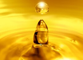 AutoXP 气体和液体流量计算机 AutoXP 气体和液体流量计算机