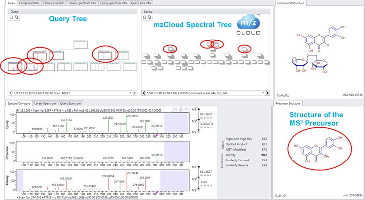 A representation of the MSn vs MSn tree search, which searches any of the Query MSn trees against mzCloud or the reference library A representation of the MSn vs MSn tree search, which searches any of the Query MSn trees against mzCloud or the reference library
