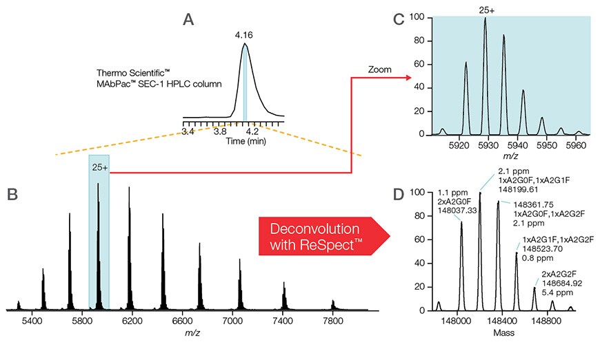 LC-MS analysis of intact NISTmAb reference standard under native conditions LC-MS analysis of intact NISTmAb reference standard under native conditions