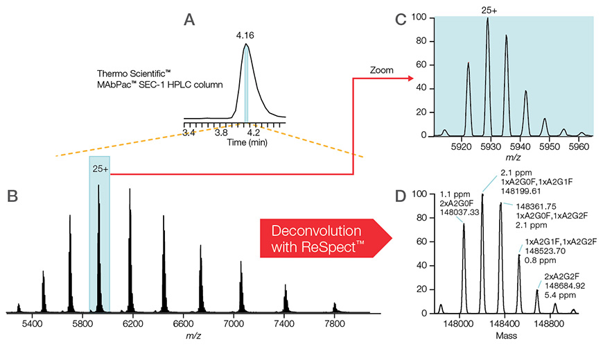 LC-MS analysis of intact NISTmAb reference standard under native conditions LC-MS analysis of intact NISTmAb reference standard under native conditions