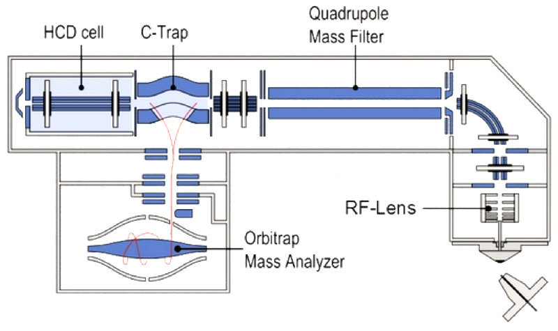 Orbitrap液质联用选择指南 | Thermo Fisher Scientific - CN