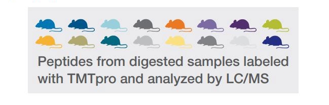 Peptides from digested samples labeled with TMT pro and analyzed by LC/MS Peptides from digested samples labeled with TMT pro and analyzed by LC/MS