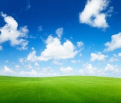 air-quality-showcase-image-239x195 air-quality-showcase-image-239x195