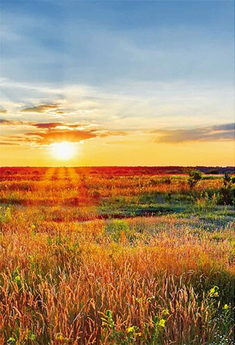 重霾之下,我们需要了解真相 重霾之下,我们需要了解真相