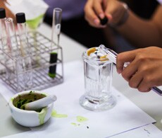 LC/MS sample preparation overview LC/MS sample preparation overview