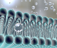 Lipidomics workflows – Why lipidomics? Lipidomics workflows – Why lipidomics?